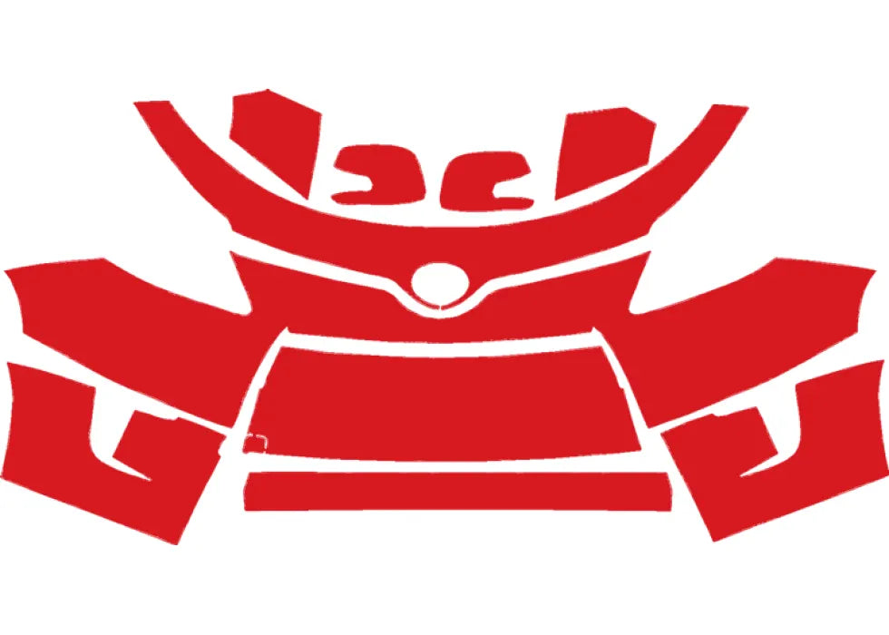 RAVOOY Pre-Cut PPF Kits for Scion xD 2008-2015 – All Trim Levels