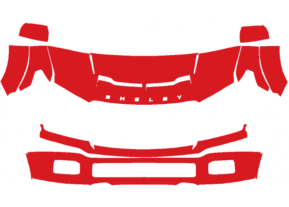 RAVOOY Pre-Cut PPF Kits for Ford F-150 2019-2020 – Shelby
