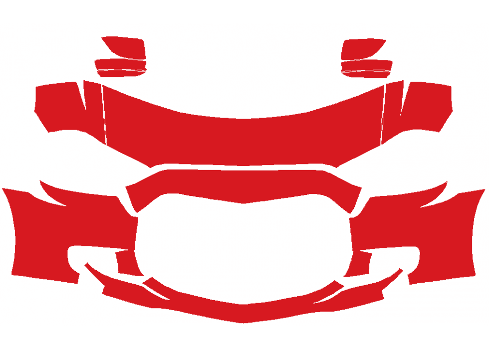 RAVOOY Pre-Cut PPF Kits for Dodge Charger 2012-2014 – SRT8 (2012-2014)