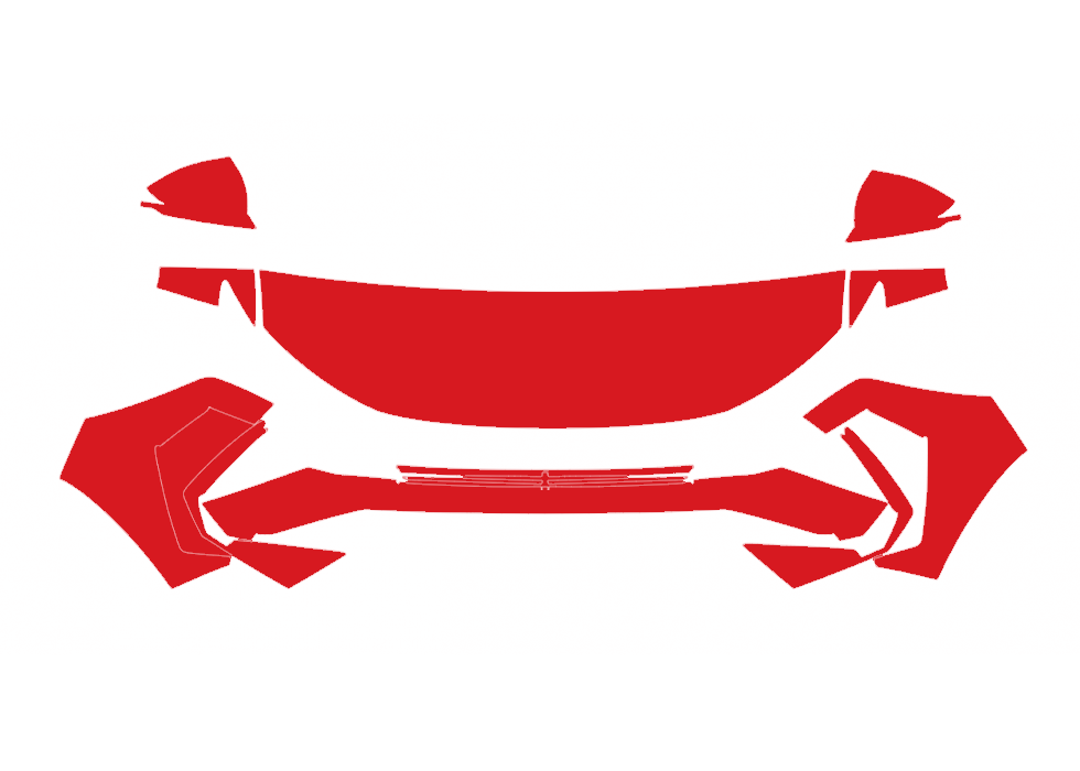 RAVOOY Pre-Cut PPF Kits for Hyundai Tucson 2025 – All Trim Levels