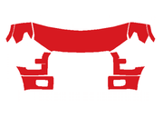 RAVOOY Pre-Cut PPF Kits for Ford F-150 2015-2017 – King Ranch