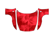 Ferrari Amalfi 2026 Full Front PPF pattern